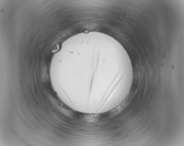 X0000052600136200507221643