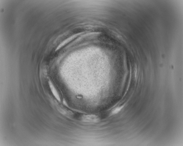 X0000052600137200507221643