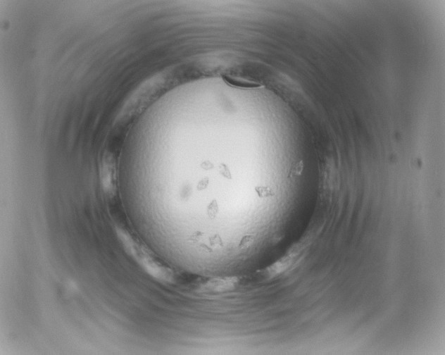 X0000052600138200507221643