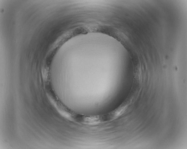 X0000052600139200507221643