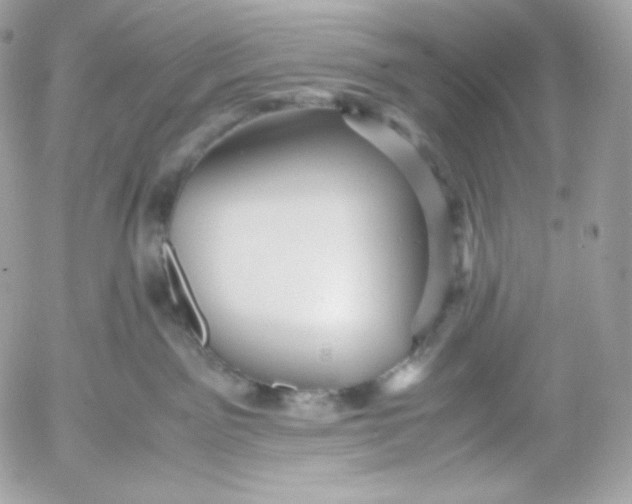 X0000052600141200507221643