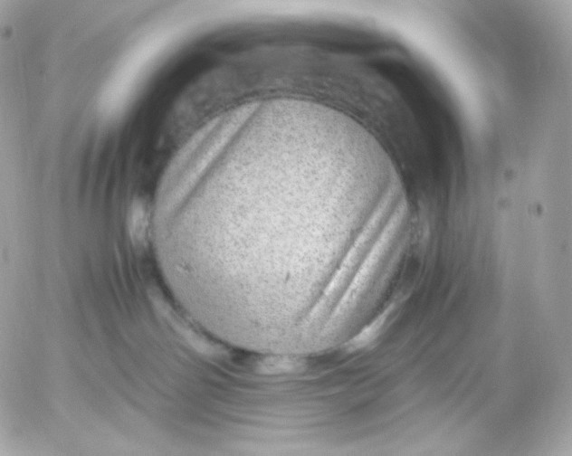 X0000052600142200507221643