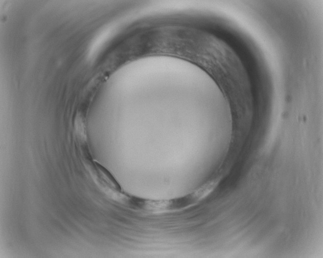 X0000052600143200507221643