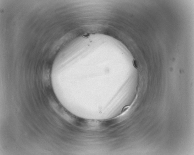 X0000052600144200507221643