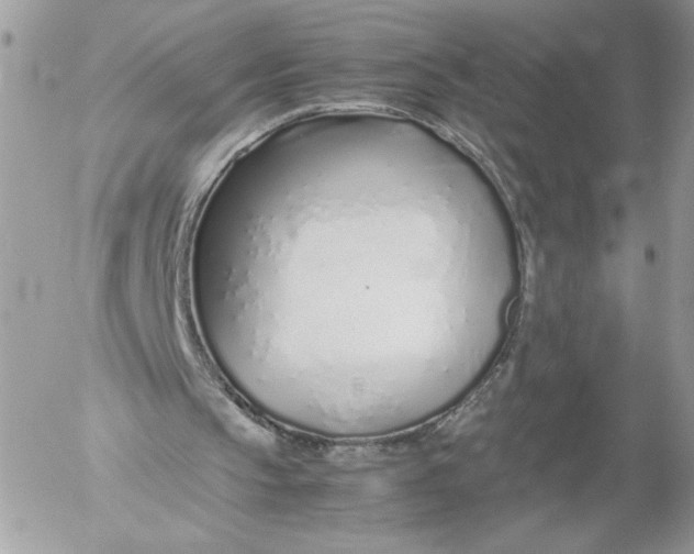 X0000052600145200507221642