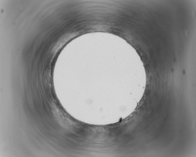 X0000052600146200507221642