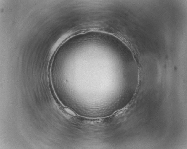 X0000052600147200507221642