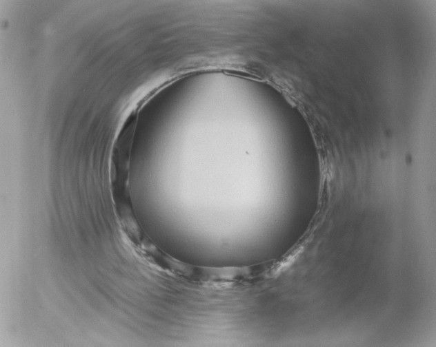 X0000052600148200507221642