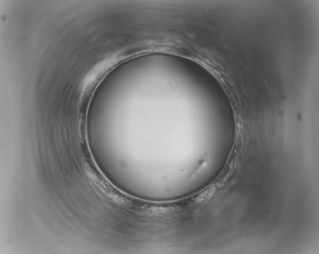 X0000052600149200507221642