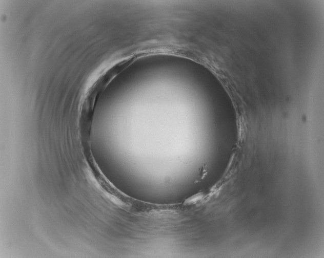 X0000052600150200507221642