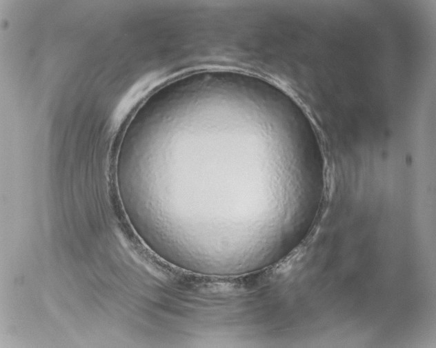 X0000052600151200507221643