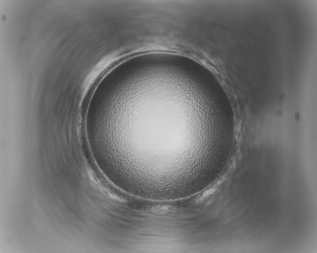 X0000052600152200507221643