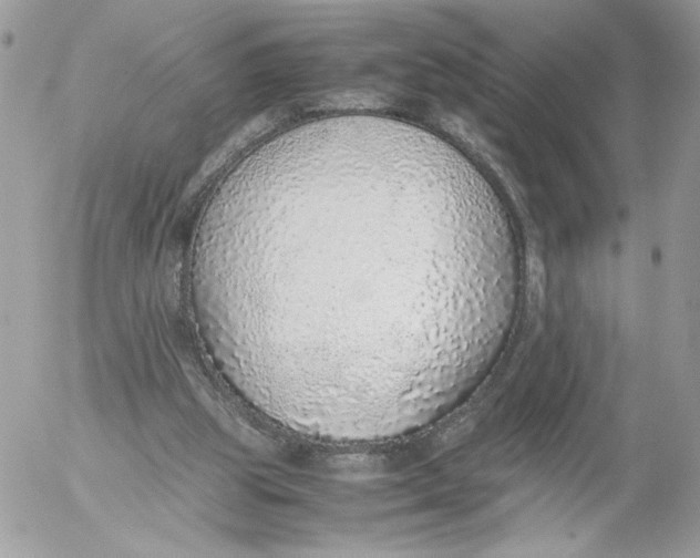 X0000052600153200507221643