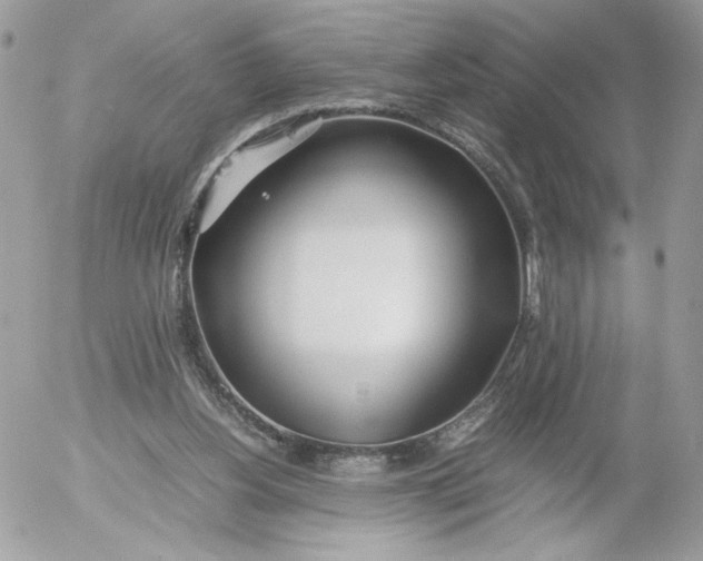 X0000052600156200507221643