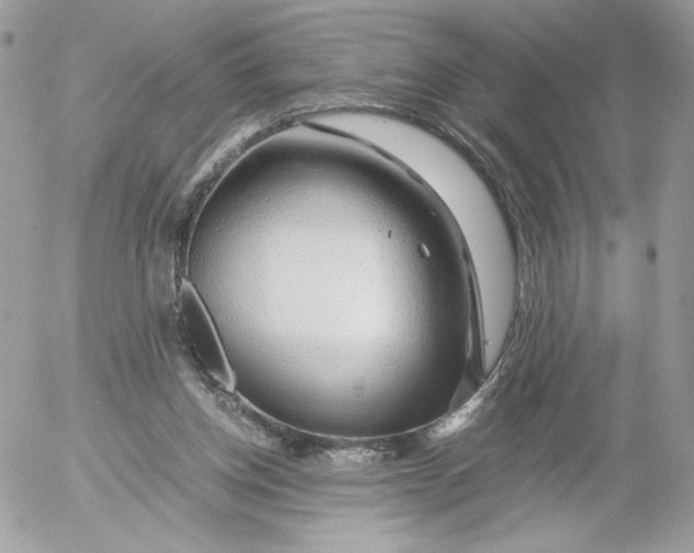 X0000052600158200507221643