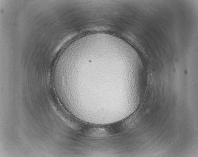 X0000052600159200507221643