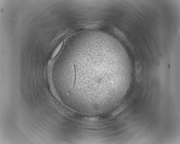 X0000052600161200507221643