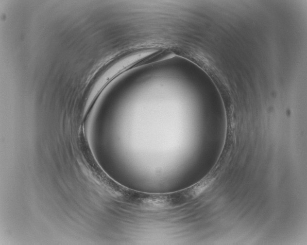 X0000052600164200507221643