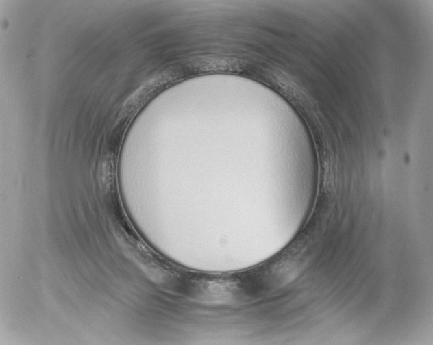 X0000052600165200507221643