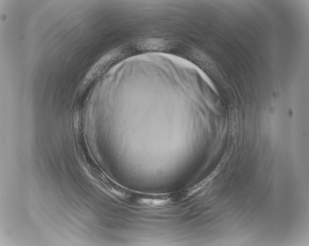 X0000052600167200507221643