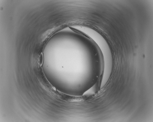 X0000052600168200507221643