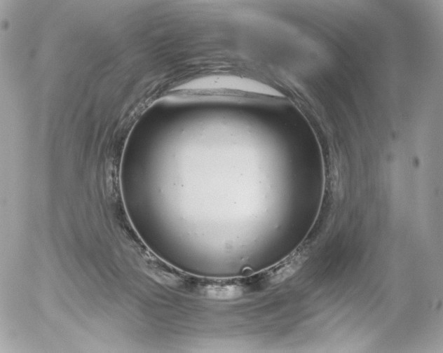 X0000052600169200507221643