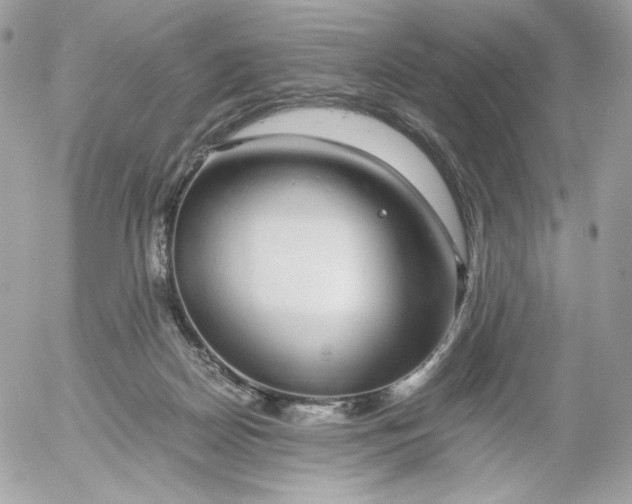 X0000052600170200507221643