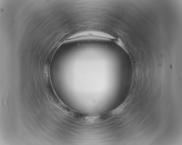 X0000052600172200507221643