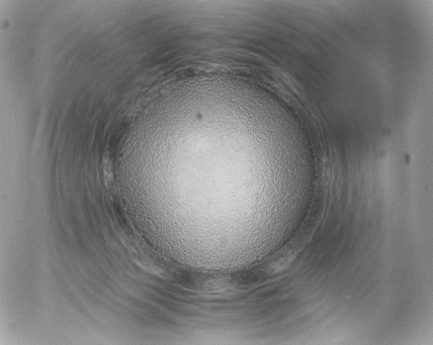 X0000052600173200507221643