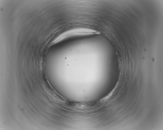 X0000052600174200507221643