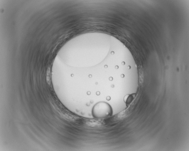 X0000052600175200507221643