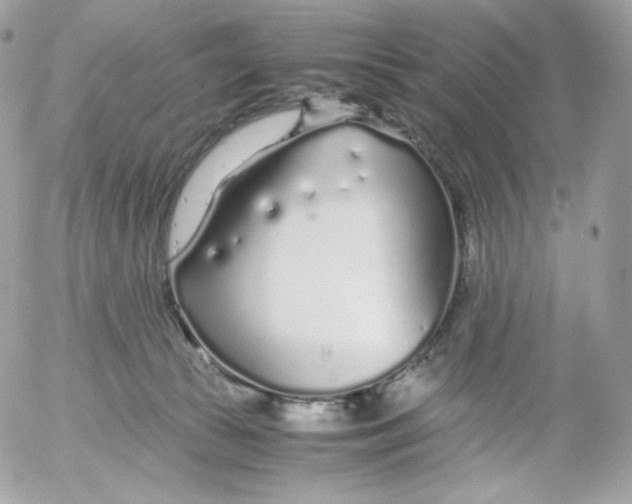 X0000052600177200507221643