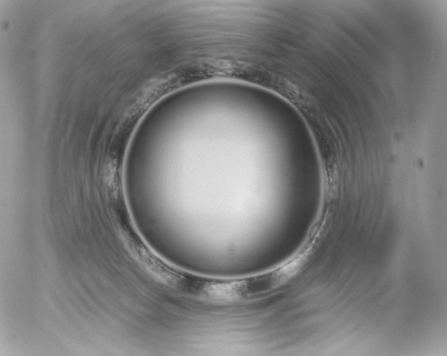 X0000052600178200507221643