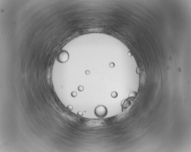 X0000052600179200507221643