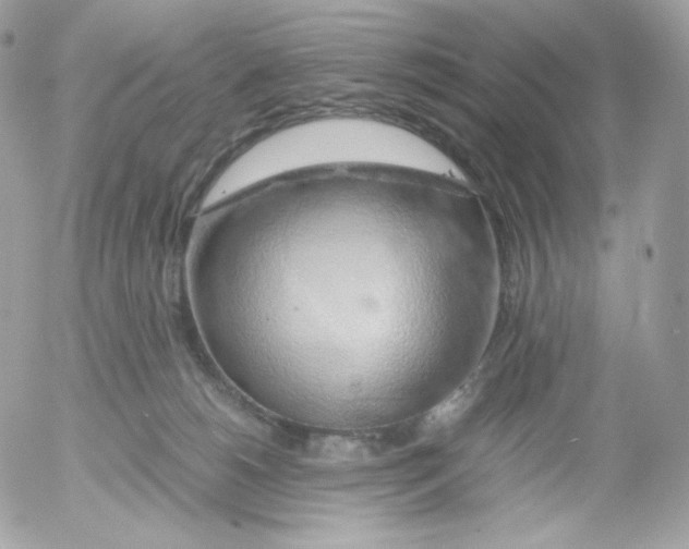 X0000052600180200507221643