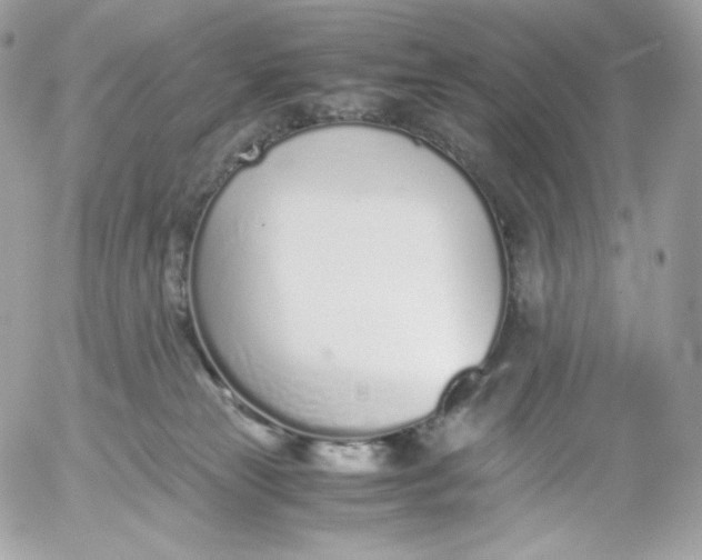 X0000052600181200507221643