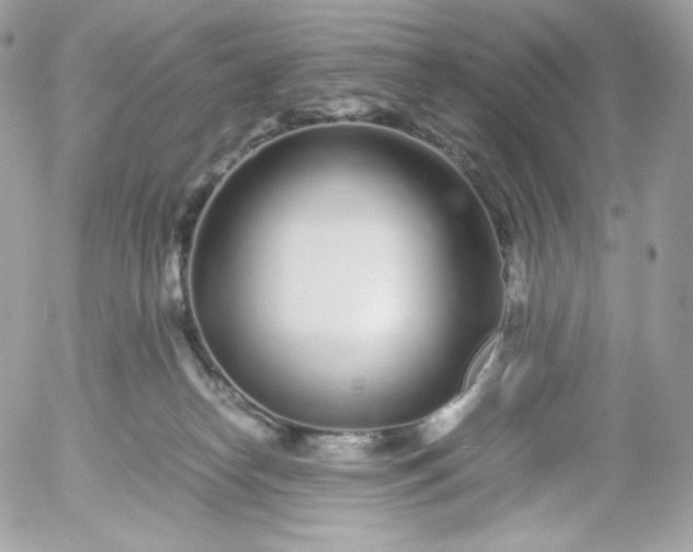 X0000052600182200507221643