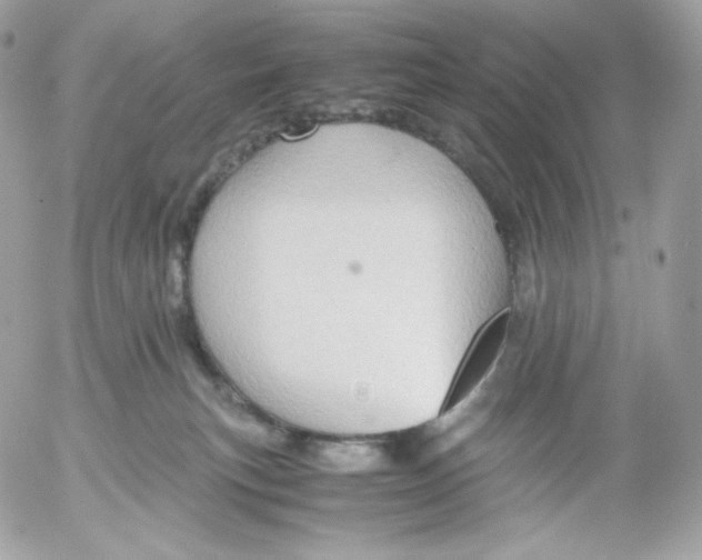 X0000052600183200507221643