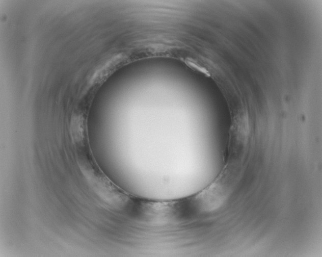 X0000052600184200507221643