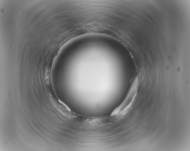 X0000052600186200507221643