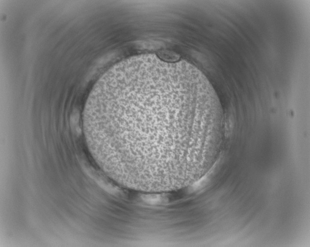 X0000052600187200507221643