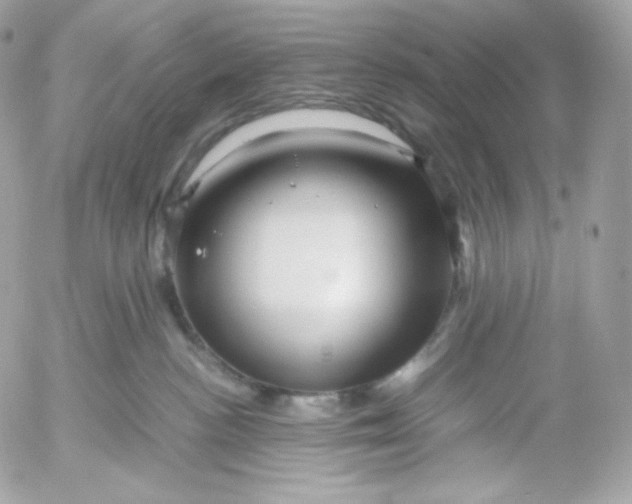 X0000052600188200507221643