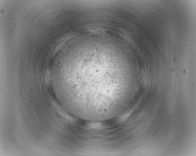 X0000052600189200507221643