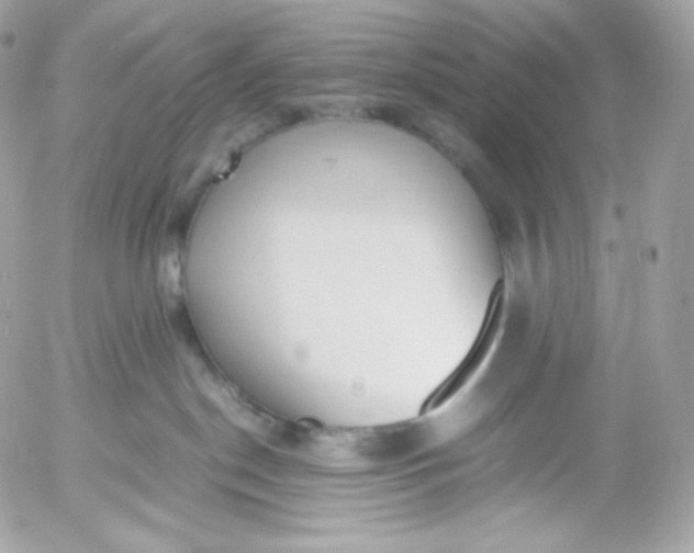 X0000052600190200507221643