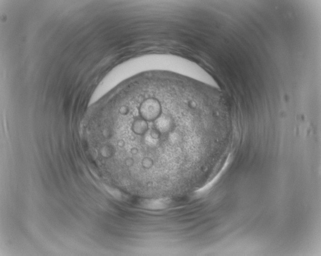 X0000052600191200507221643