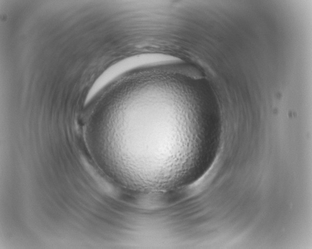 X0000052600192200507221643