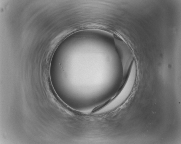 X0000052600193200507221642