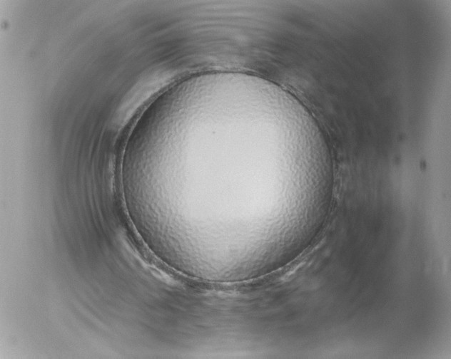 X0000052600194200507221642