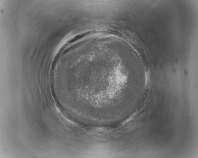 X0000052600195200507221642