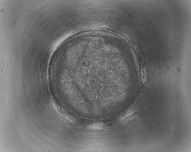 X0000052600196200507221642